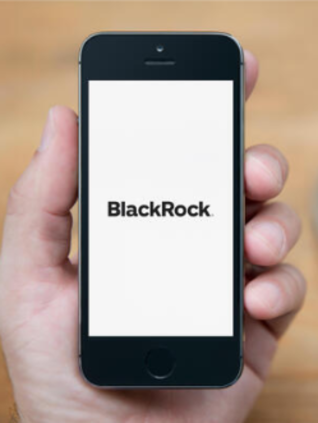 How blackrock owns the world